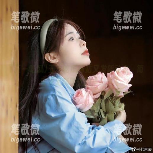 五一吃瓜网站又发新动态，简直是无聊时光的小意外