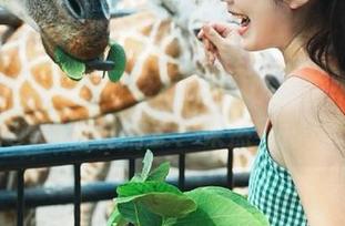 今日吃瓜51app，听说有个大瓜型的软萌精灵？果然不可思议？