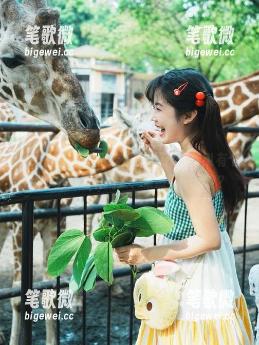 今日吃瓜51app，听说有个大瓜型的软萌精灵？果然不可思议？