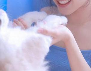 “吃瓜网红”传送门开启！黑料视频一区热辣点评，一个杯具的高潮