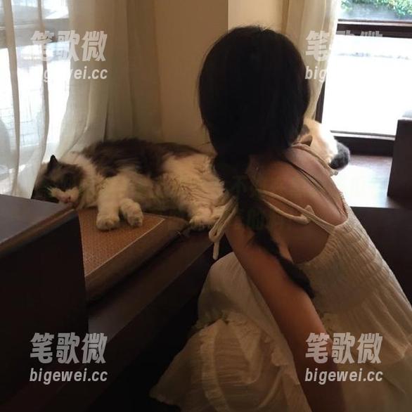 黑料吃瓜 线上聚会?不如在黑料吃瓜在线分享曲折离奇的料!