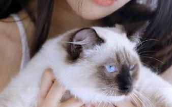 最新花样层出不穷，黑料老司机从未开闭，让人忍不住想多留一会儿。